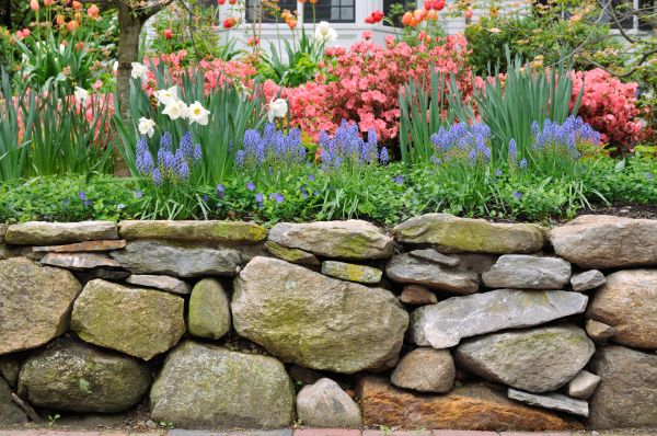Stone Wall Hardscaping in San Luis Obispo