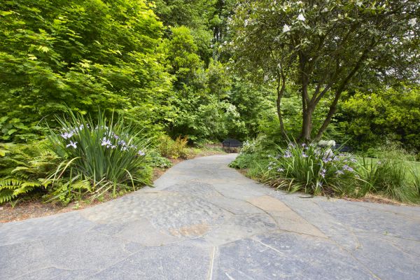 Stone Hardscape Service in San Luis Obispo