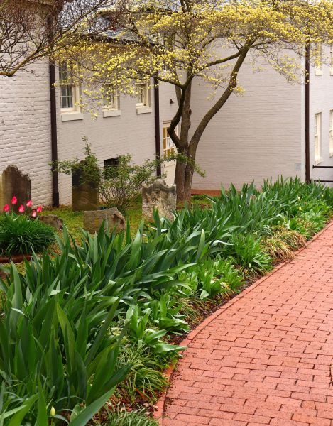 Brick Flatwork Repair in San Luis Obispo